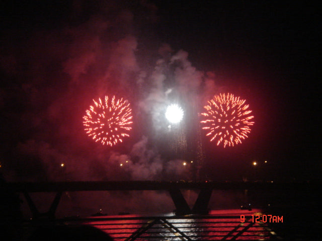 The Winning show of the 2009 edition of the International Fireworks