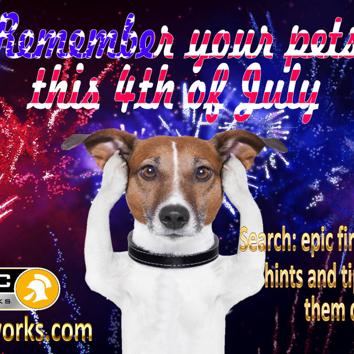 4th July Fireworks Safety and Pets