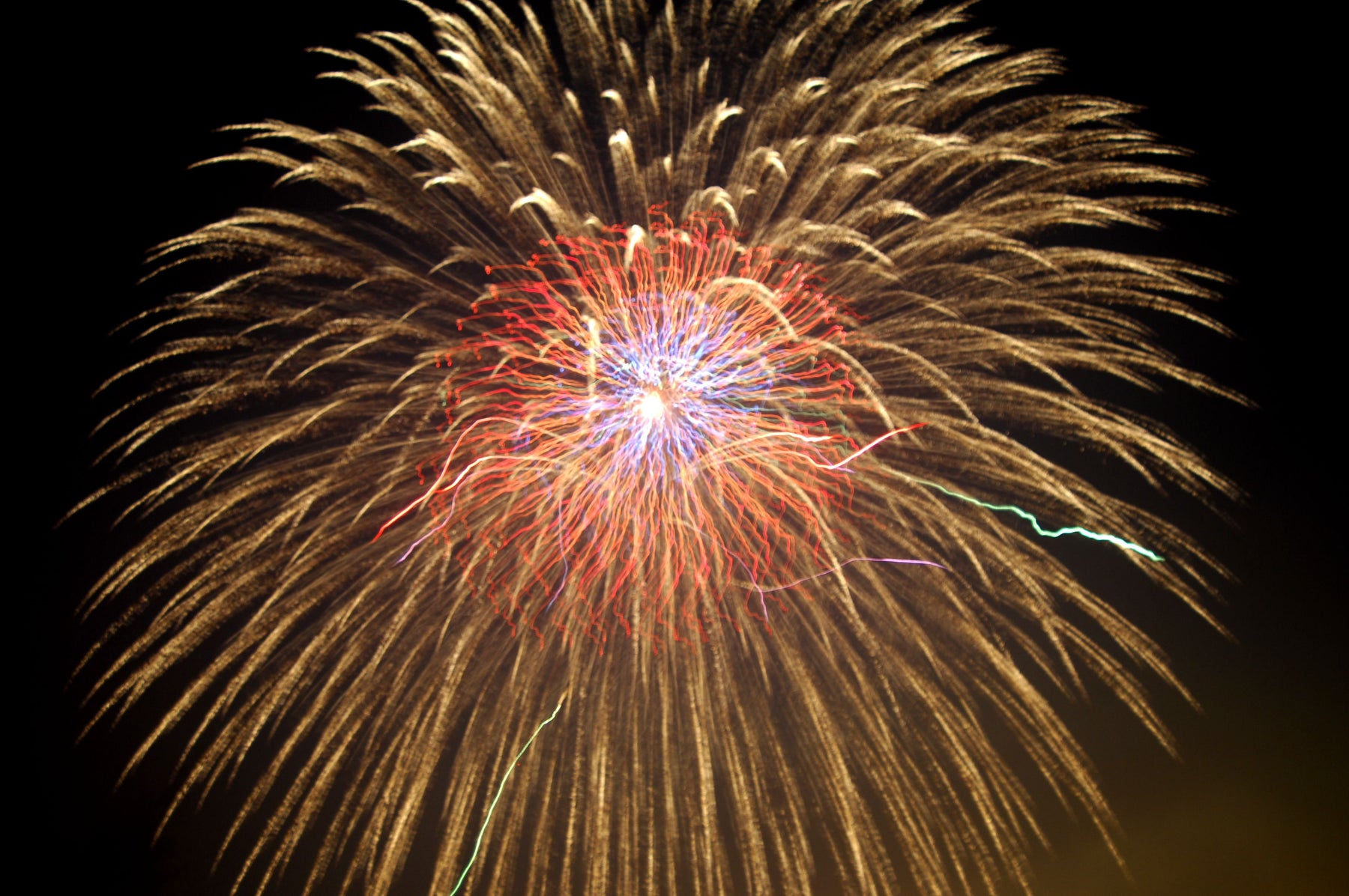 Celebration Of Light Fireworks Cancelled For 2021