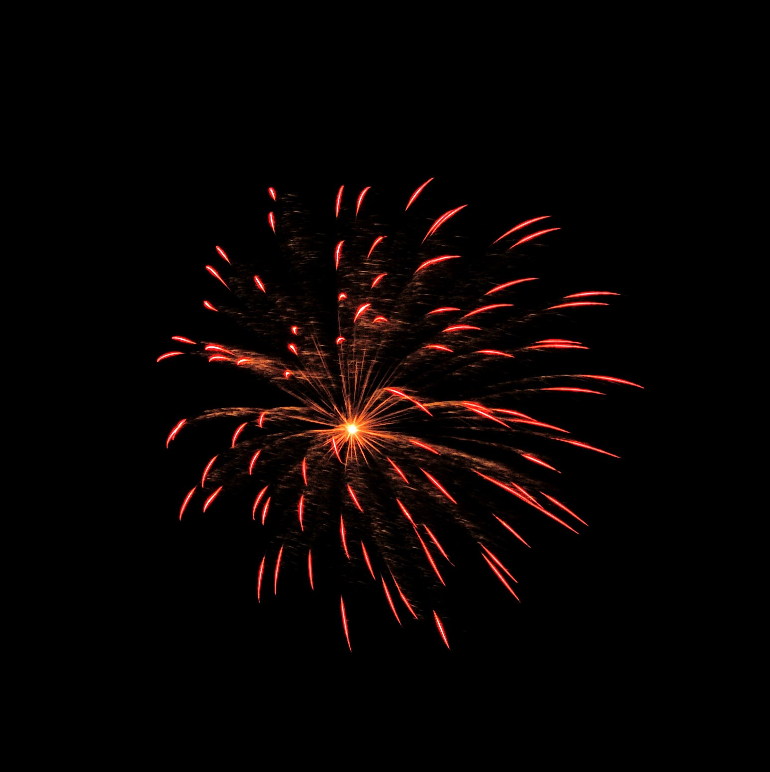 Firework Videos From The Web