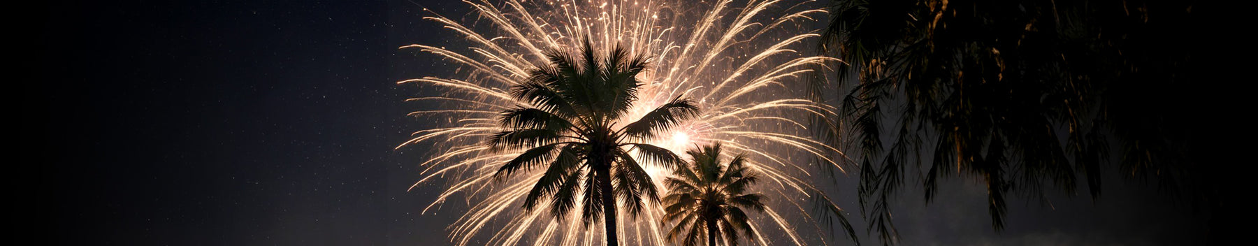 Palm Paradise: Exploring the Art and Science of the Palm Firework Effect