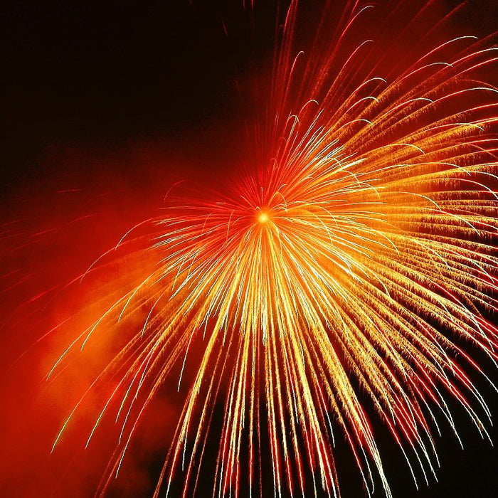 Thames Festival Fireworks 2009