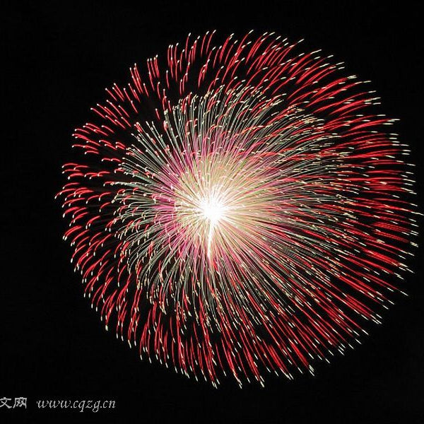 Record breaking fireworks at Japans katakai firework festival 2009.
