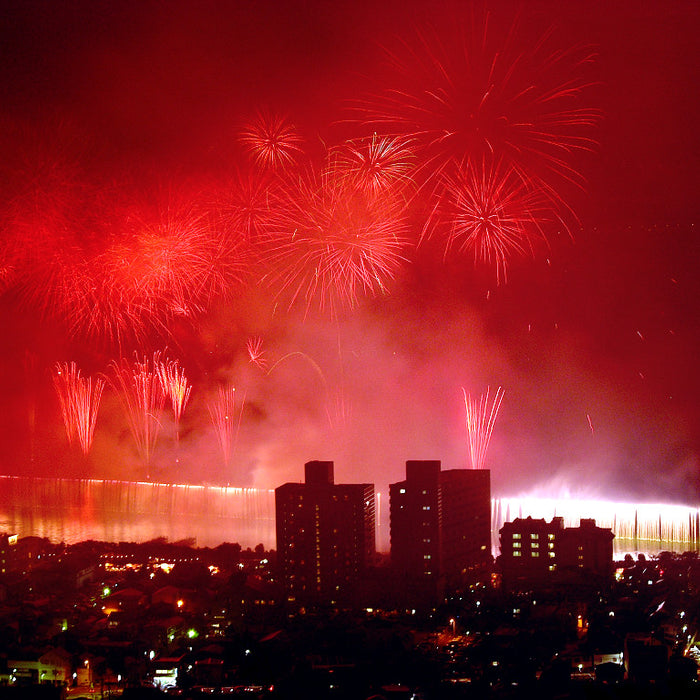 World Ushers in 2009 With Fireworks