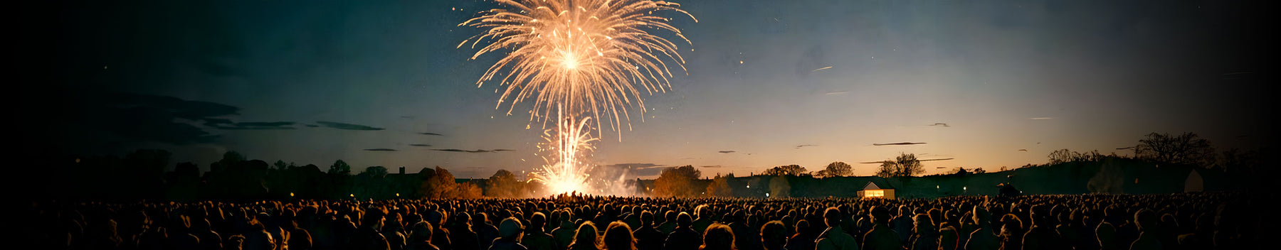 Fleet Lions Celebrate £38,000 Success at Charity Firework Event - And How You Can Do The Same