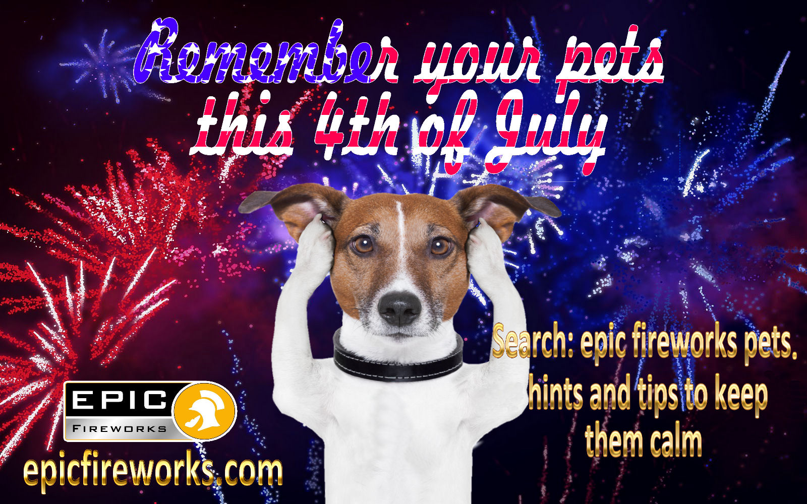 BE PETSAFE WITH FIREWORKS THIS YEAR
