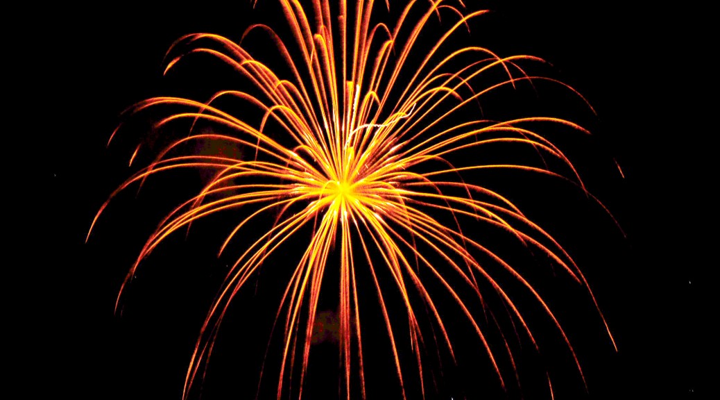 RESULTS FROM NEWBY HALL FIREWORK CHAMPIONS