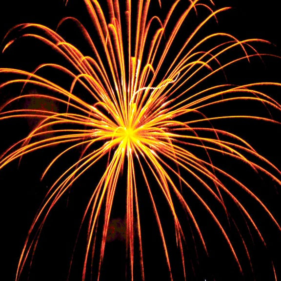 RESULTS FROM NEWBY HALL FIREWORK CHAMPIONS