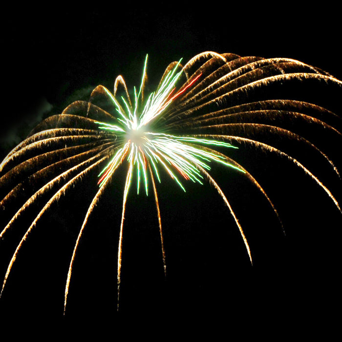 Lichfield festival 2009 - Expect Fireworks