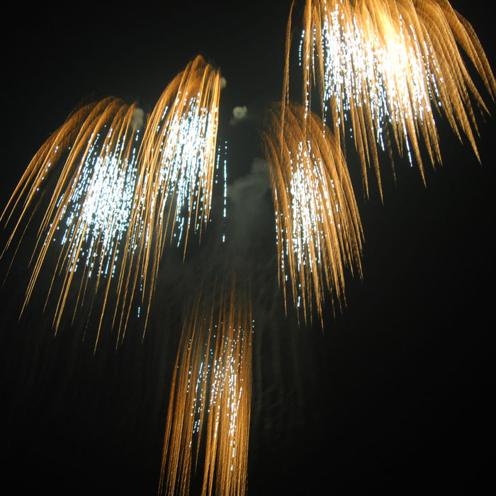The 2009 Ascot Charity Fireworks Event