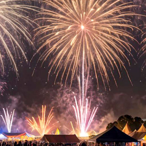Everything You Need to Know About Henley Summerfest - The Big Family Day Out