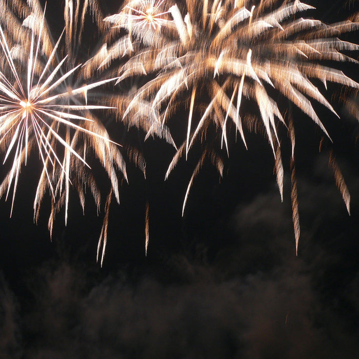 THE MESMERIZING FIREWORK CHAMPIONS EVENT AT ARLEY HALL