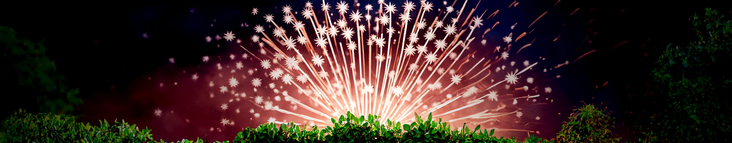Top Pyro Picks: Fan Barrages — Epic Fireworks