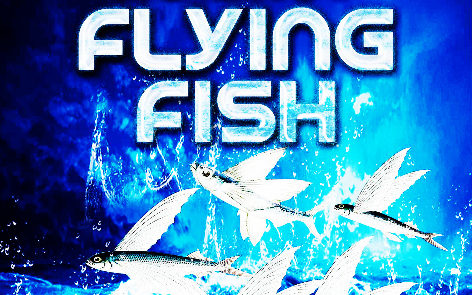 Fireworks Effects - Flying Fish / Bees