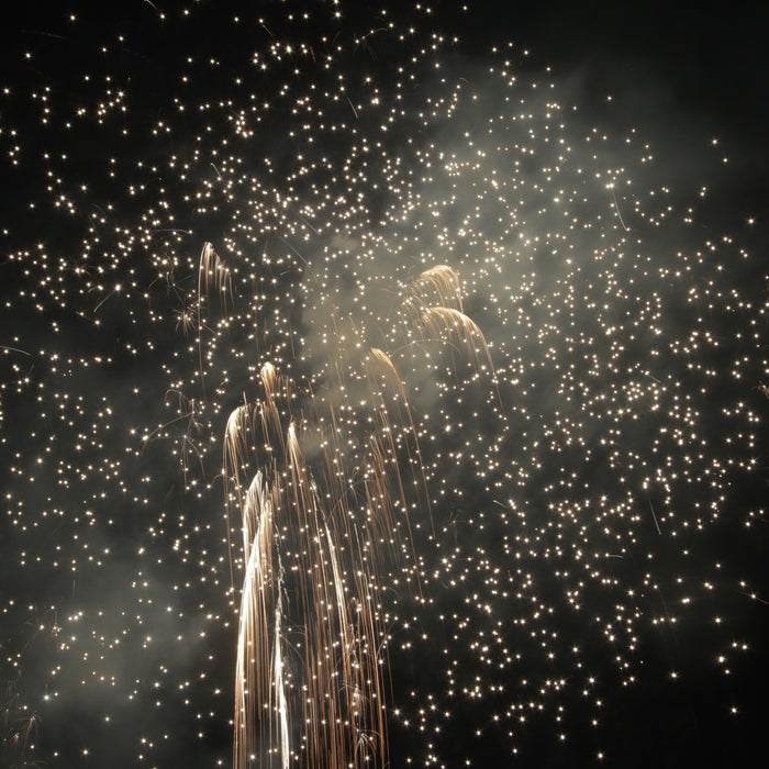 Fireworks that mesmerise at the Versailles palace!!!