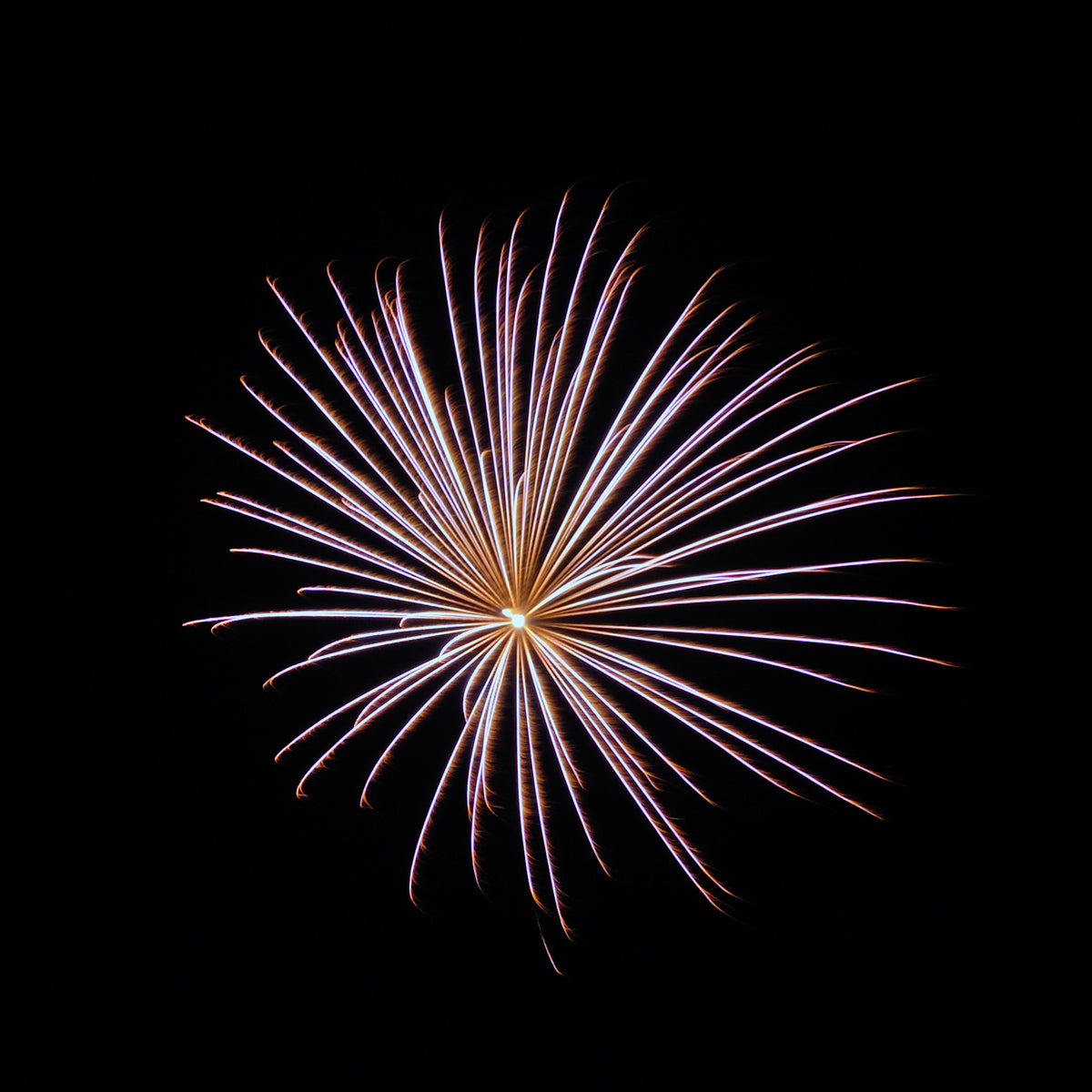 Fireeworks Individual Lyme Regis Summer Carnival — Epic Fireworks