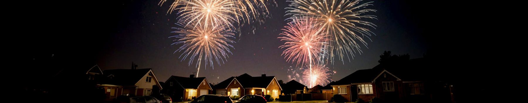 The Ultimate Guide to At-Home Firework Displays: Part Thirteen - Low Noise Displays