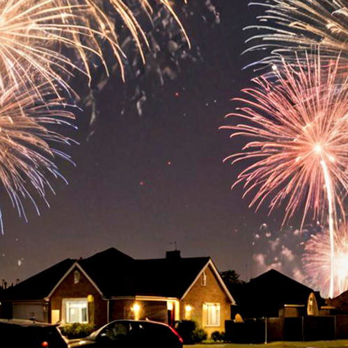 The Ultimate Guide to At-Home Firework Displays: Part Thirteen - Low Noise Displays