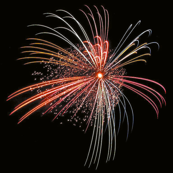 New Years Fireworks Around The World