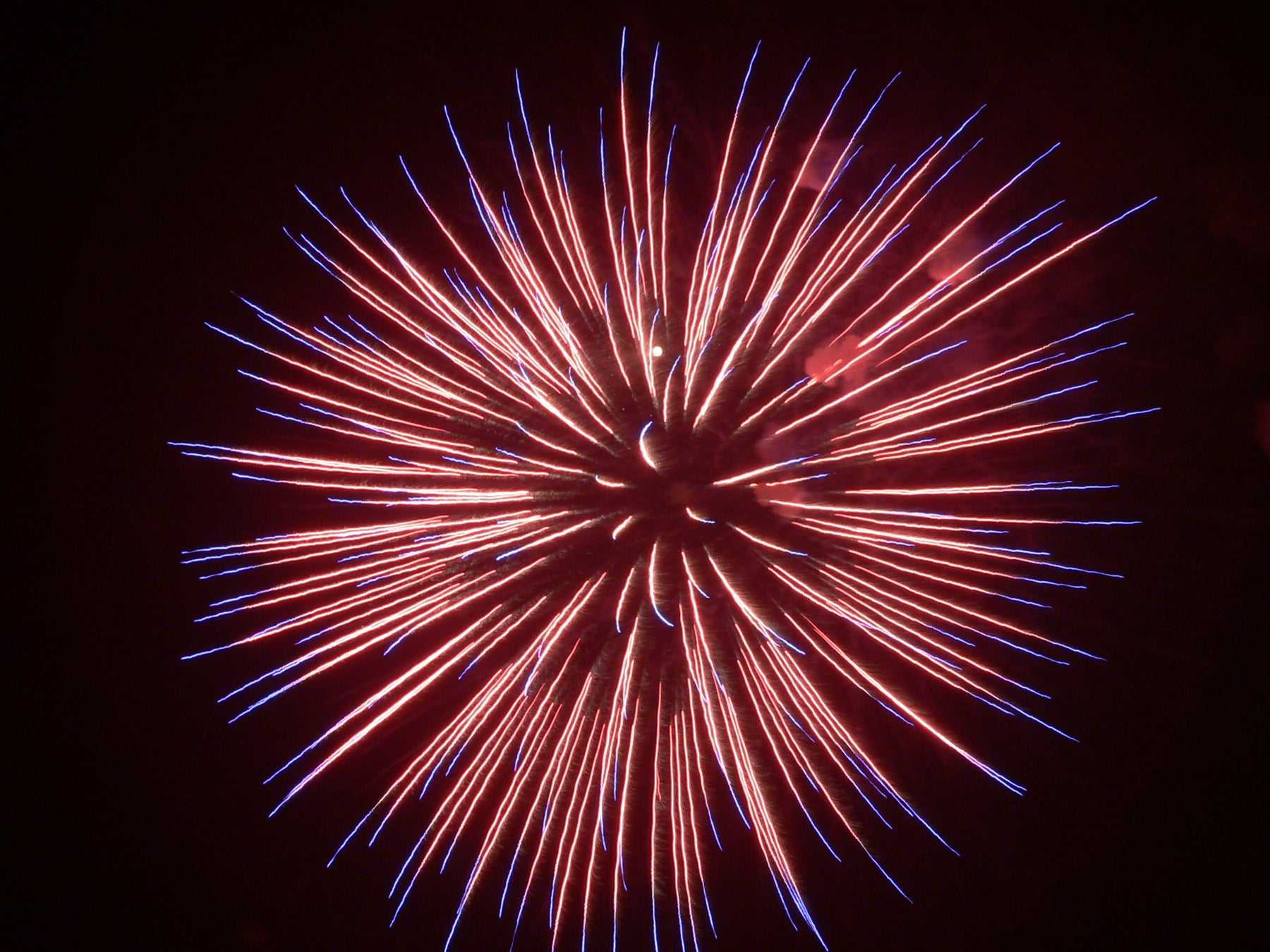 COMMONPLACE FIREWORK MISCONCEPTIONS