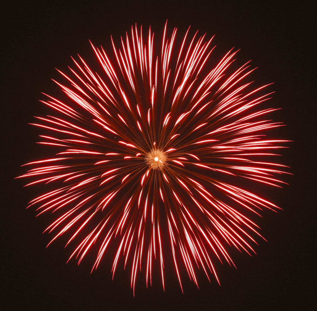 Fireeworks Individual Sumidagawa Fireworks Festival 2023 — Epic Fireworks