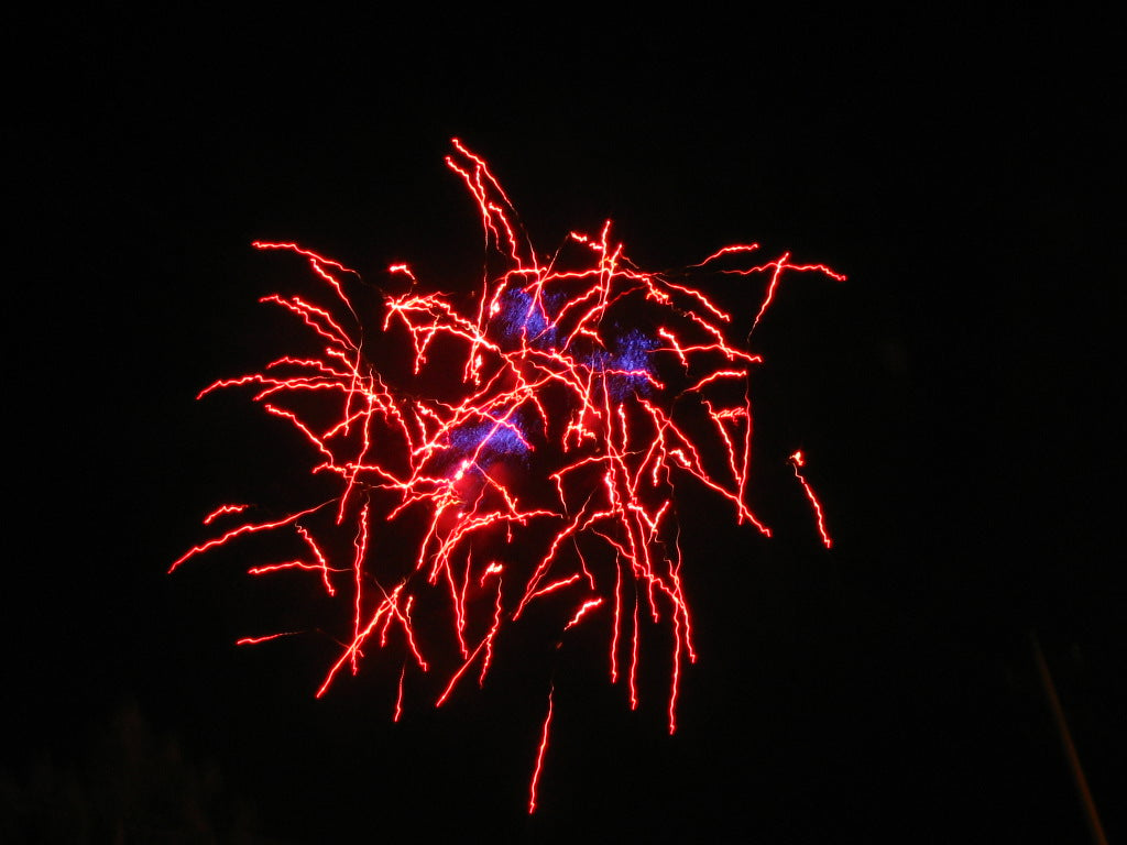 TAMWORTH FIREWORK DISPLAY BACK WITH A BANG