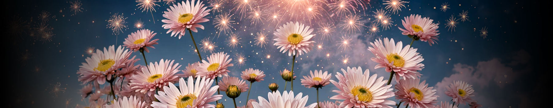 The Art and Science of the Chrysanthemum Firework Effect