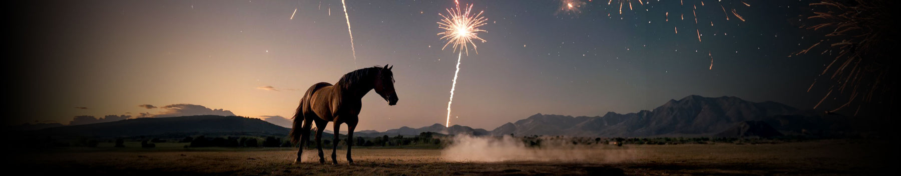 The Art and Science of the Horse Tail Firework Effect