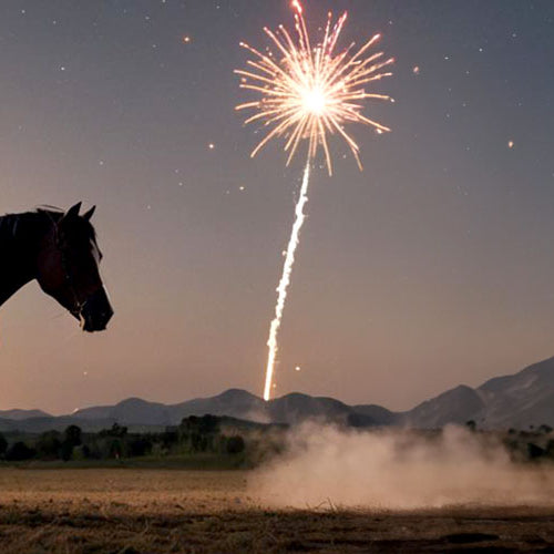 The Art and Science of the Horse Tail Firework Effect