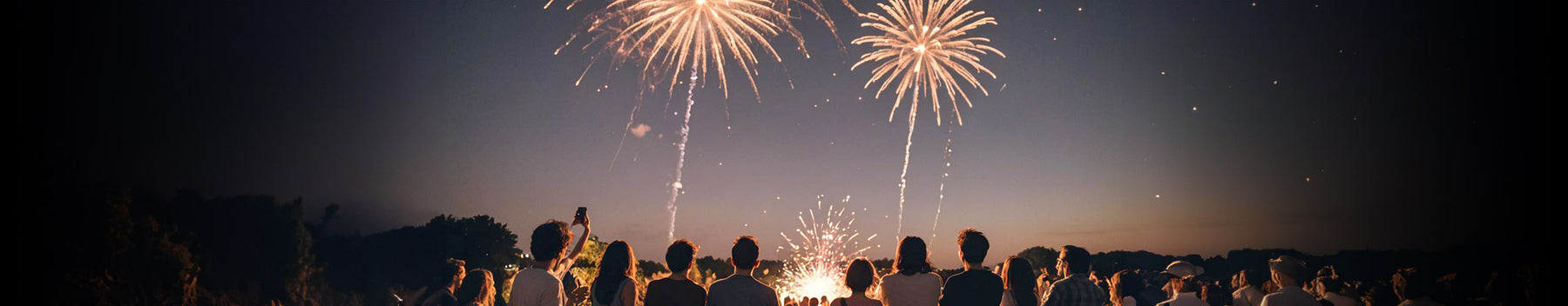 The Pros and Cons of Professional Firework Displays