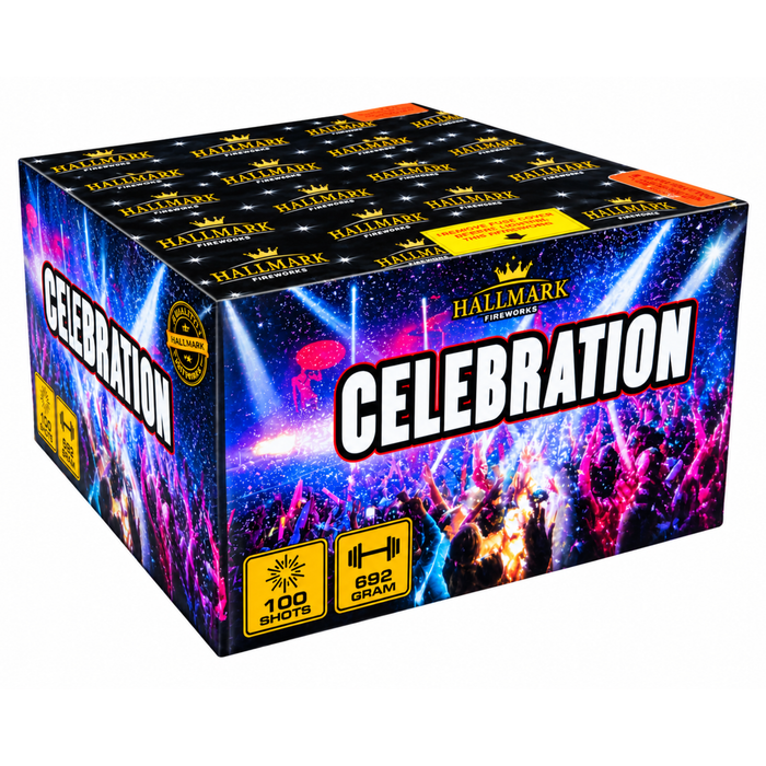 Celebration 100 shots firework cake by Hallmark Fireworks