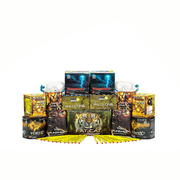 Diwali Celebration DIY Fireworks Kit