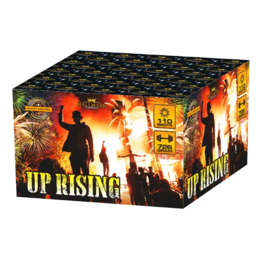 Up Rising 110 shots cake by Hallmark Fireworks